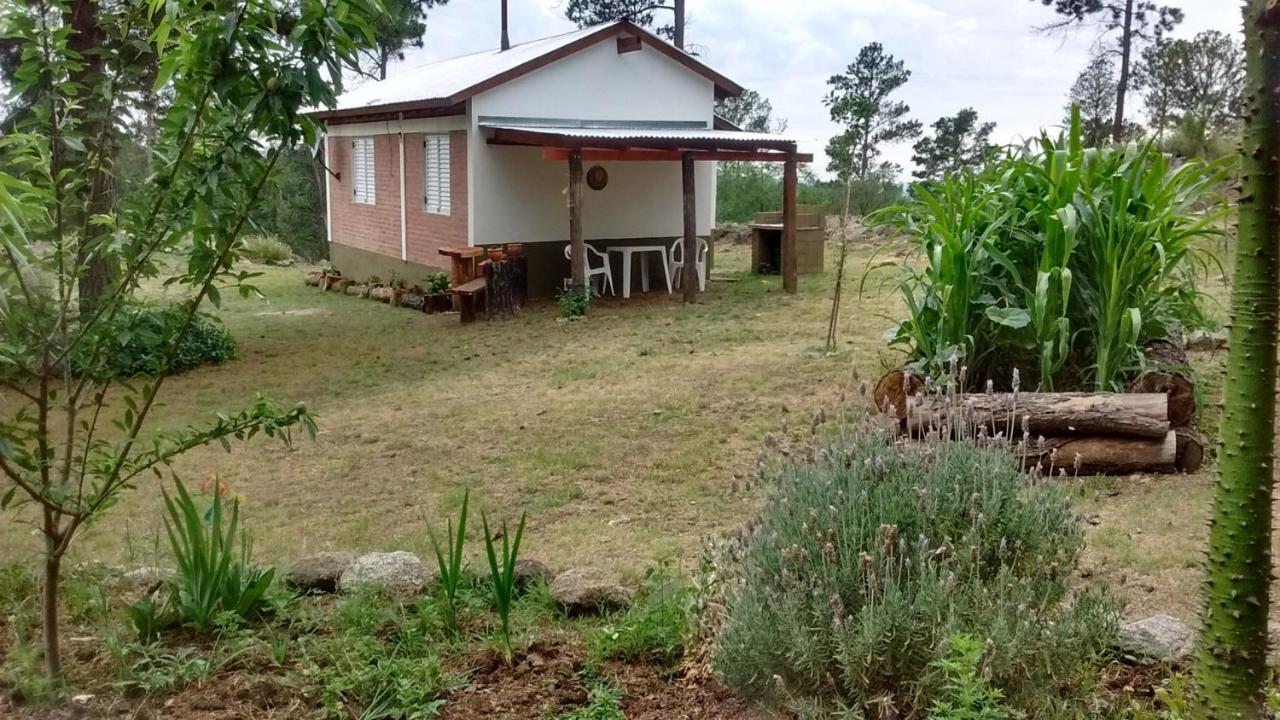 Espejo De Hadas - Terrafirme Chalet